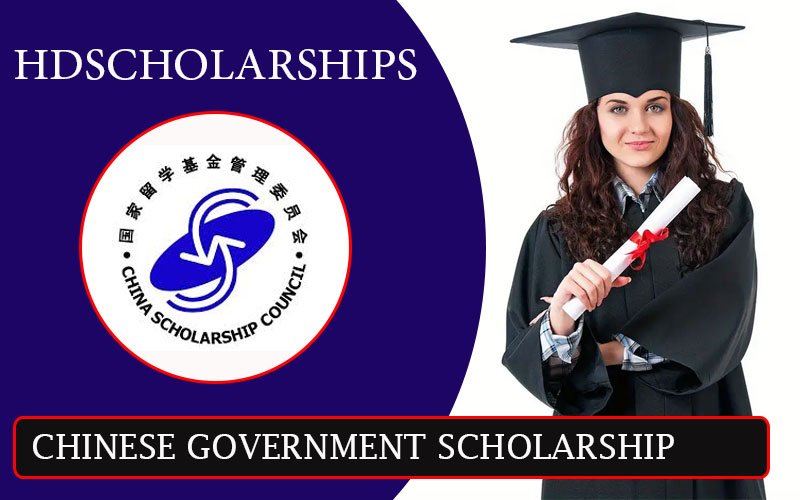 Chinese Government Scholarship