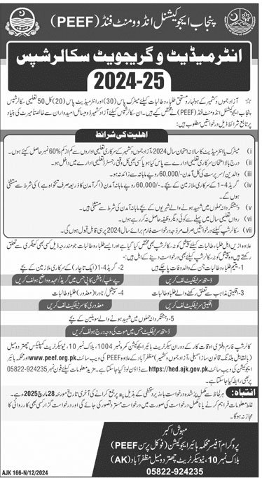 PEEF Scholarships 2024-25 for AJK Students Advertisement
